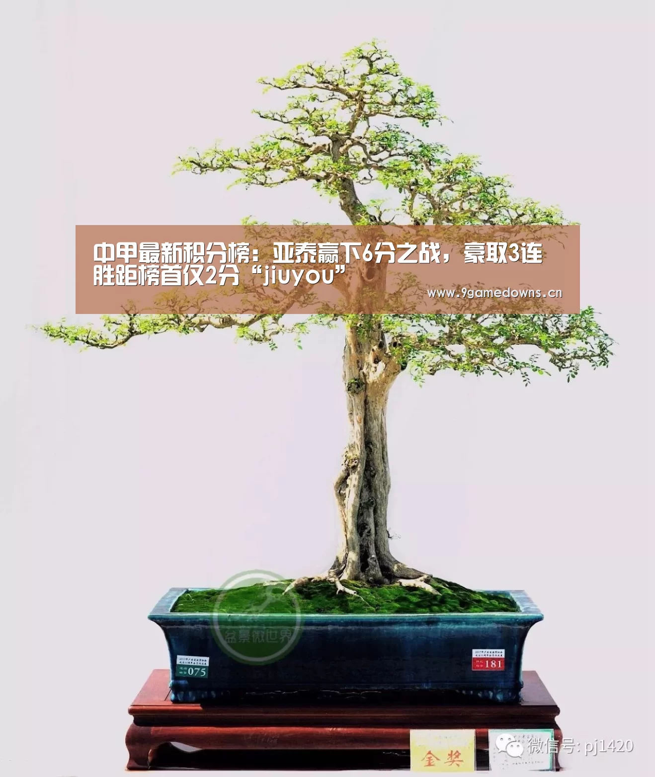 中甲最新积分榜：亚泰赢下6分之战，豪取3连胜距榜首仅2分“jiuyou”