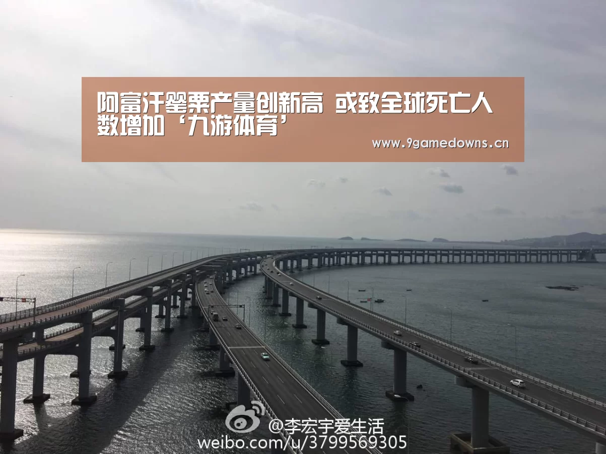 阿富汗罂粟产量创新高 或致全球死亡人数增加‘九游体育’