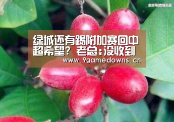 绿城还有踢附加赛回中超希望? 老总:没收到消息‘Jiuyou游戏官网入口’